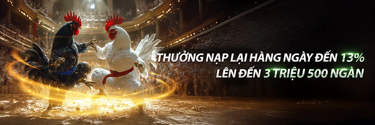 Đá gà trực tuyến đỉnh cao tại Fun888 Nhà Cái