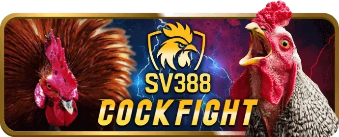 Các câu hỏi thường gặp giúp người chơi Fun888 nhà cái